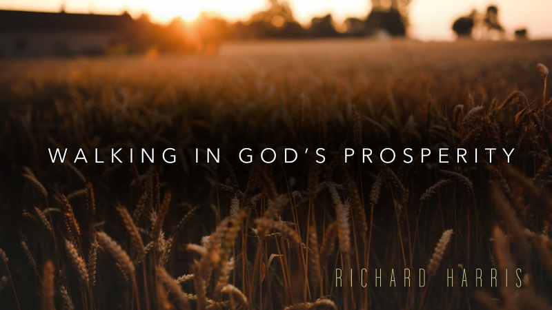 Walking in God's Prosperity Video Series